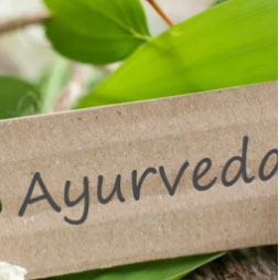 Ayurveda Angebot