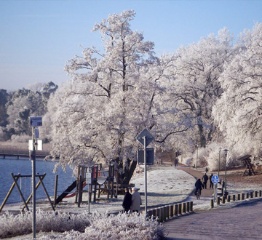 Plauer Winterwunderland