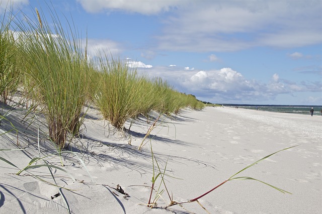 Feiner Sandstrand an der Ostsee